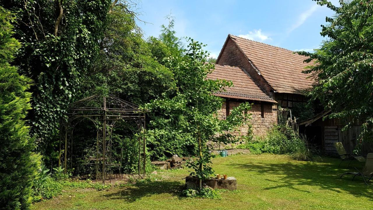Gite Au Petit Ruisseau-Etage Et Combles-Maison Alsacienne 4 Personnes 4 Nuitees Minimum Langensoultzbach Exteriér fotografie
