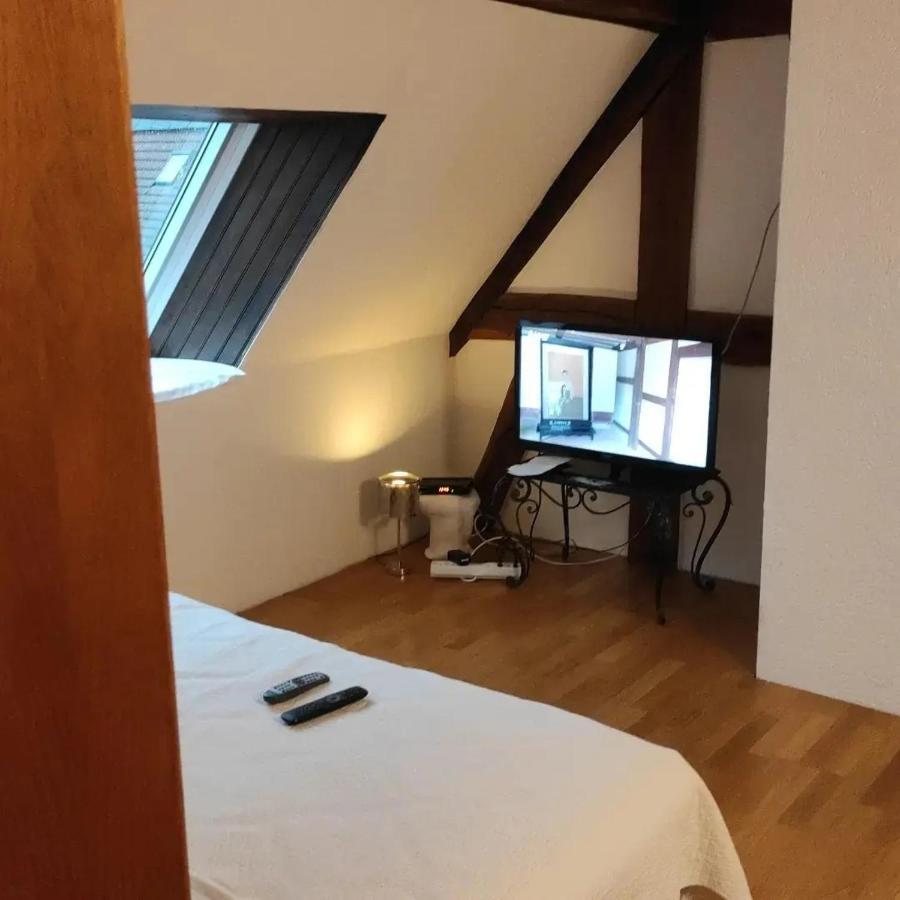 Gite Au Petit Ruisseau-Etage Et Combles-Maison Alsacienne 4 Personnes 4 Nuitees Minimum Langensoultzbach Exteriér fotografie