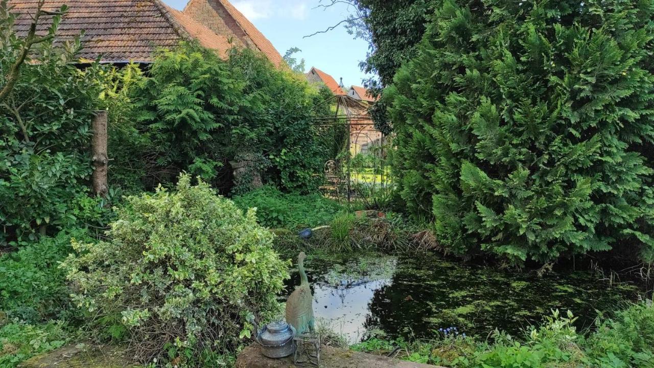 Gite Au Petit Ruisseau-Etage Et Combles-Maison Alsacienne 4 Personnes 4 Nuitees Minimum Langensoultzbach Exteriér fotografie