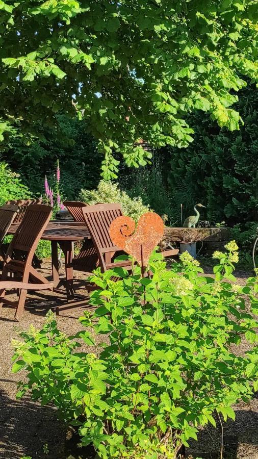 Gite Au Petit Ruisseau-Etage Et Combles-Maison Alsacienne 4 Personnes 4 Nuitees Minimum Langensoultzbach Exteriér fotografie