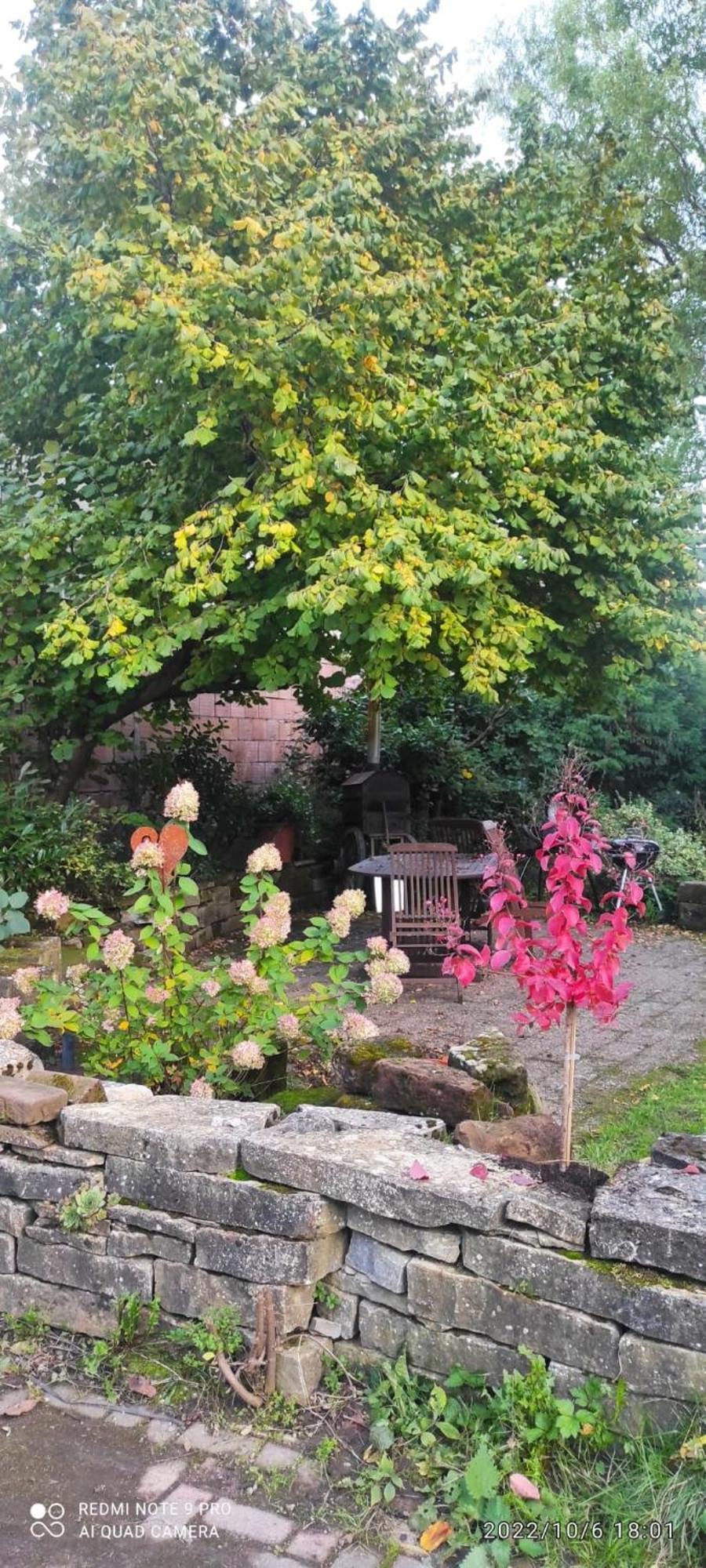 Gite Au Petit Ruisseau-Etage Et Combles-Maison Alsacienne 4 Personnes 4 Nuitees Minimum Langensoultzbach Exteriér fotografie